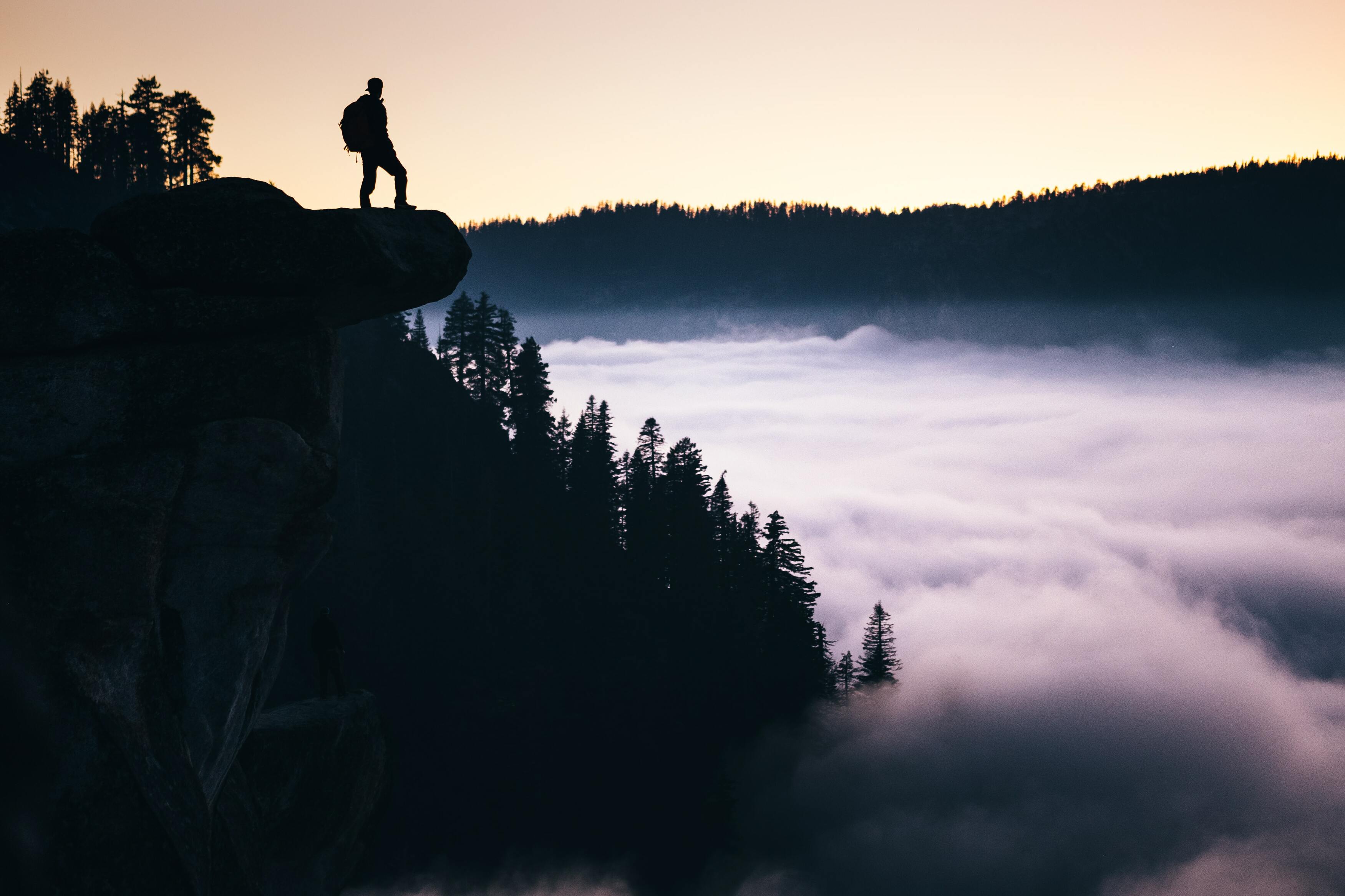 Forest with a sea of clouds in the background