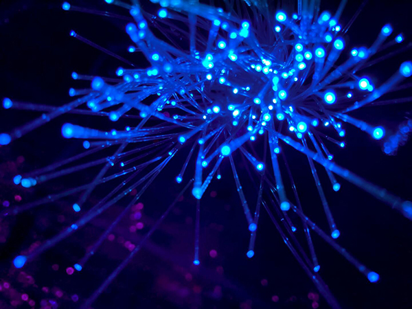 Optical fiber